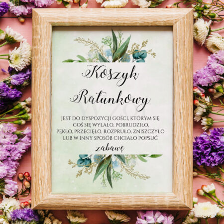 Koszyk Ratunkowy Zielona