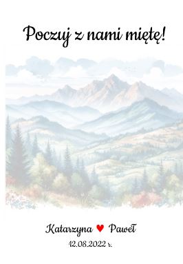 wz13