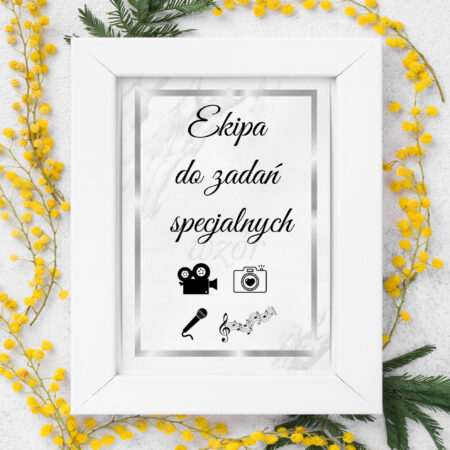 Ekipa do zadań specjalnych Szara