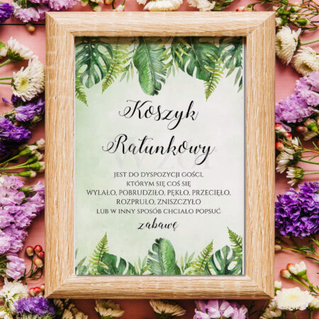 Koszyk Ratunkowy Paproć