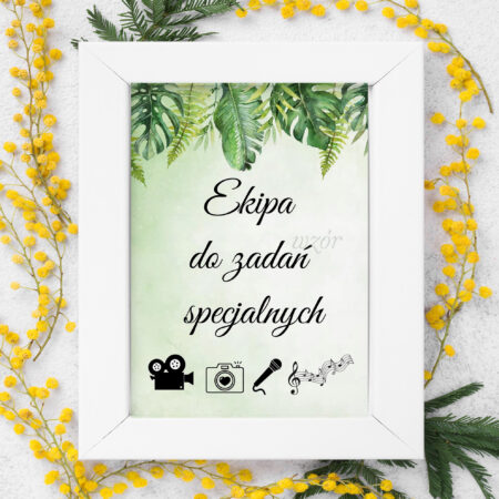 Ekipa do zadań specjalnych Paproć